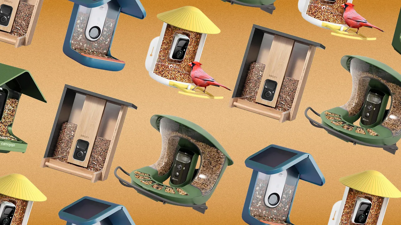 Best Smart Bird Feeders 2025: Tested & Ranked (The "Hidden Fee" Warning)