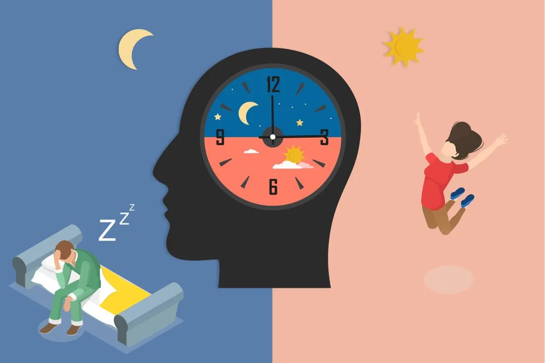 Circadian rhythm
