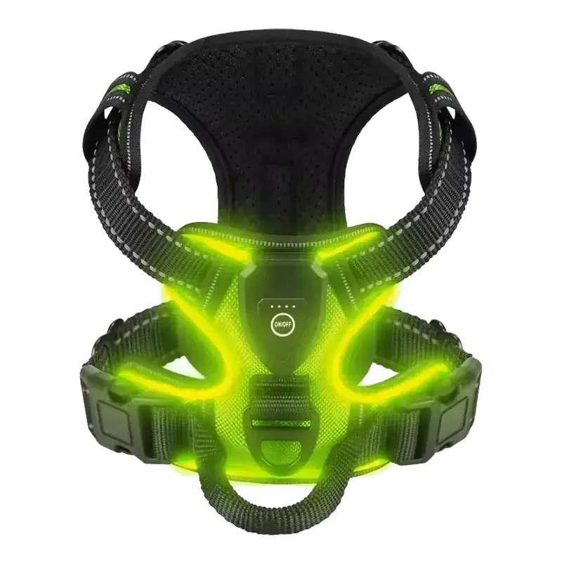 Radpaws LED Harness — Best Dog Harness 2026
