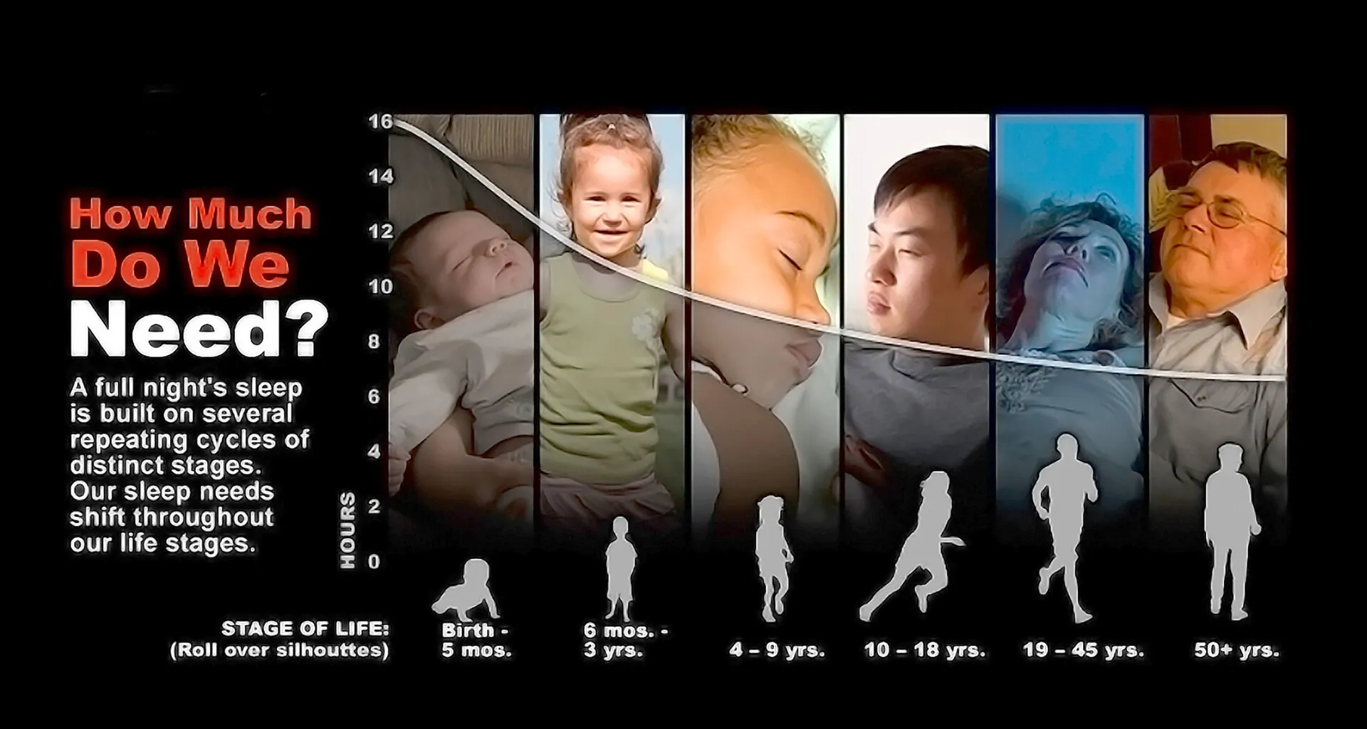 Sleep Needs by Life Stage
