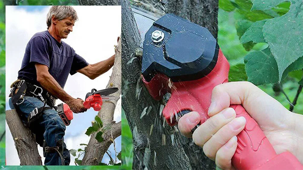 Wood Ranger